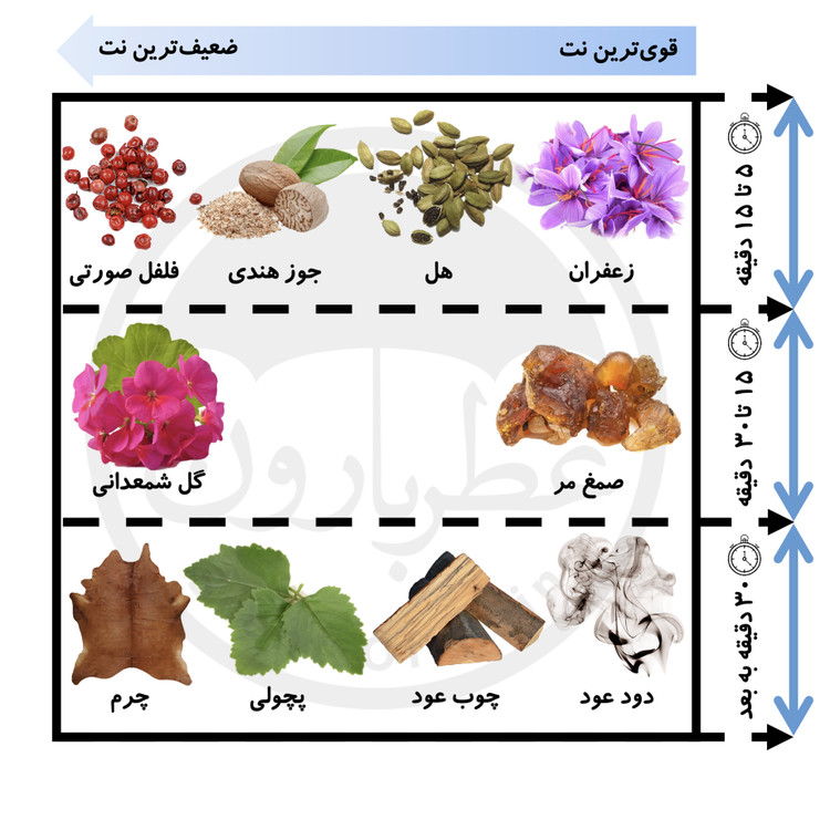 اسپری بدن دئودرانت مردانه شماره ۲ بورلیهیلز پولوکلاب رایحه کهربایی و ادویه ای 200میل اسپرت