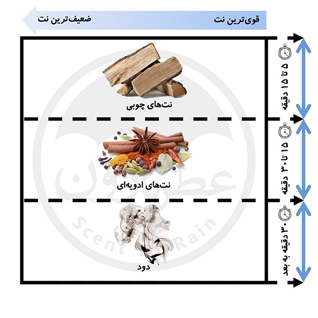 اسپری بدن دئودرانت مردانه شماره ۸ بورلیهیلز پولوکلاب رایحه چوبی و ادویه ای 200میل اسپرت