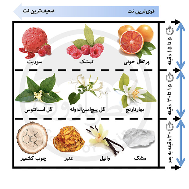 پک هدیه اسپری و بادی میست زنانه بورلی هیلز پولو کلاب شماره ۹