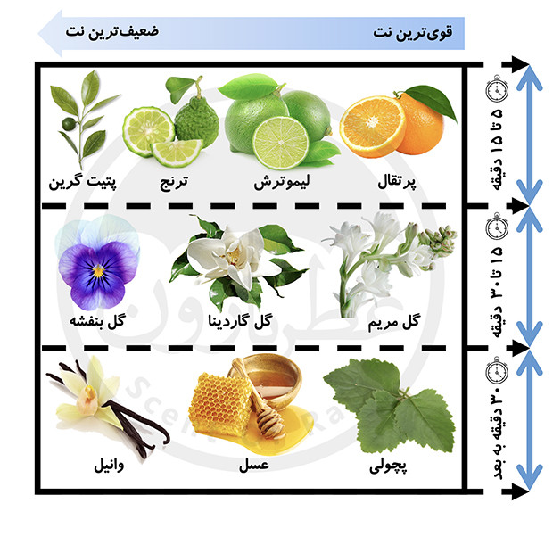 پک هدیه اسپری و بادی میست زنانه بورلی هیلز پولو کلاب شماره ۱