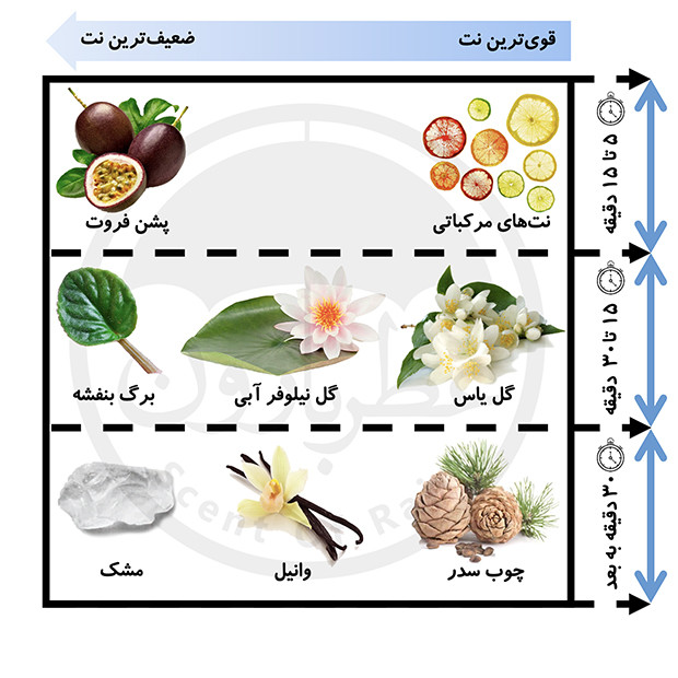 پک هدیه اسپری و بادی میست زنانه بورلی هیلز پولو کلاب شماره 8